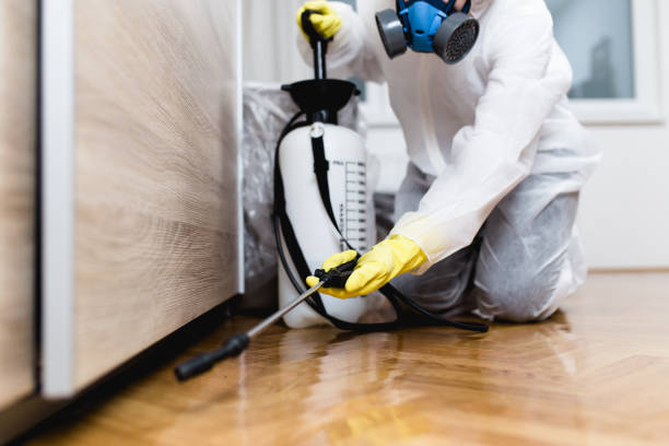 Best Pest Control Near Me  in Duncan Falls, OH