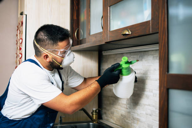 Best Best Pest Control Companies  in Duncan Falls, OH