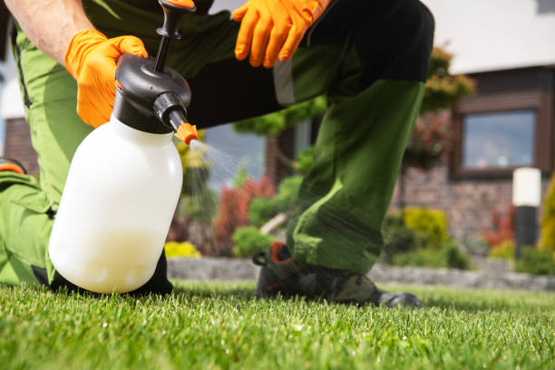 Best Pest Prevention Services  in Duncan Falls, OH