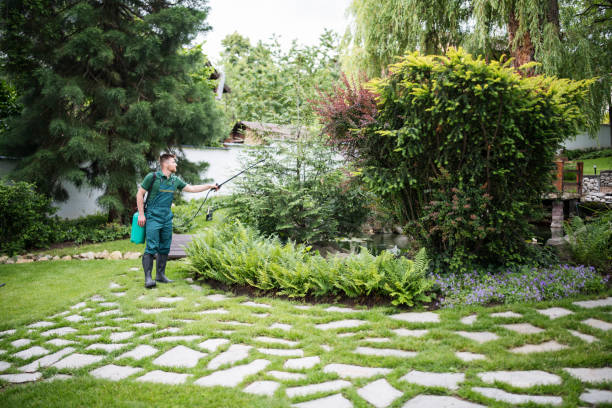 Best Pest Control Near Me  in Duncan Falls, OH
