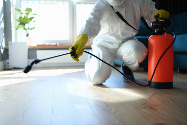 Best Wasp Removal Services  in Duncan Falls, OH