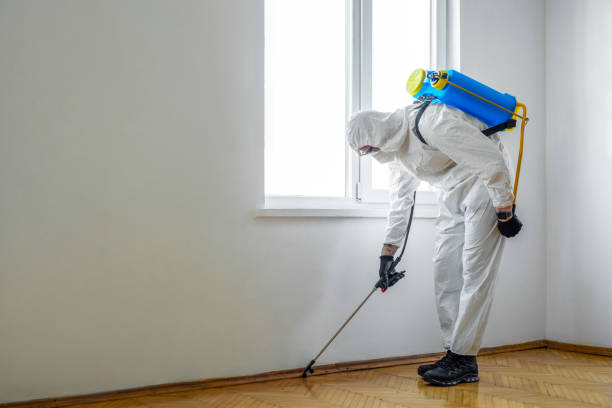 Professional Pest Control in Duncan Falls, OH