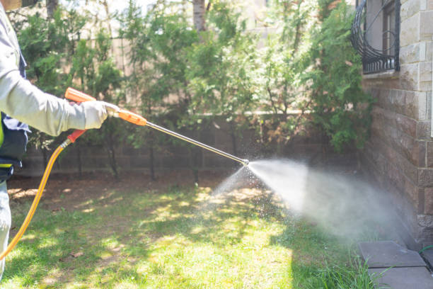 Best Best Pest Control Companies  in Duncan Falls, OH