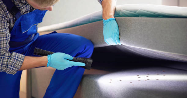 Best Cockroach Control Services  in Duncan Falls, OH