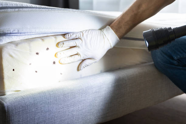 Best Best Pest Control Companies  in Duncan Falls, OH