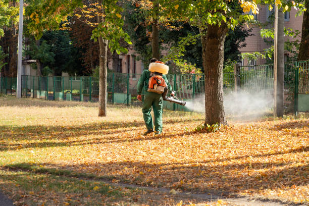 Wasp Removal Services in Duncan Falls, OH