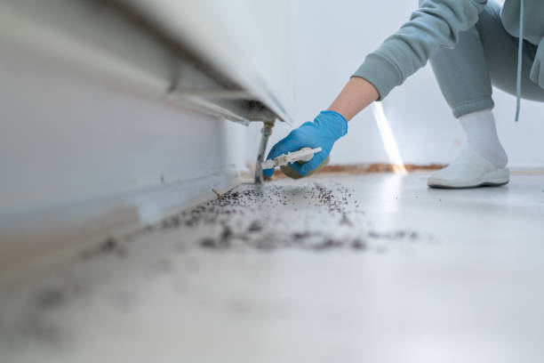 Best Pest Prevention Services  in Duncan Falls, OH