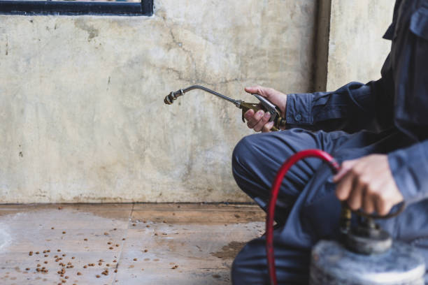 Best Pest Control for Businesses  in Duncan Falls, OH