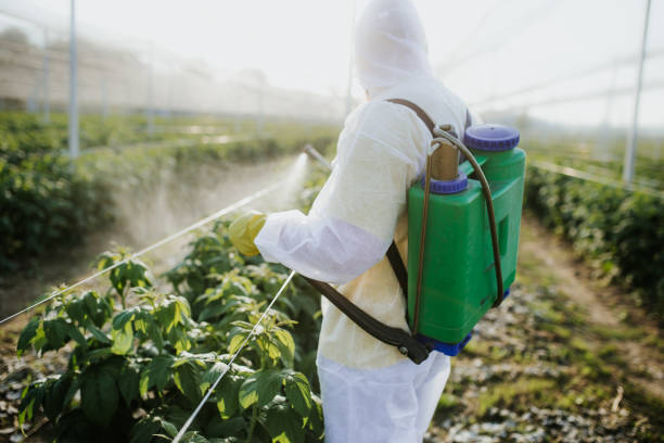 Best Mosquito Control Services  in Duncan Falls, OH